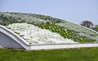 A closed plant cover with good root penetration is the best protection against erosion from wind and rain. Pitched green roof in full bloom